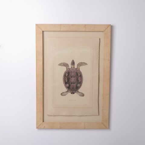 Druck mit Schildkrötenmotiv im Rahmen aus den 1980er Jahren