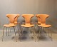 A set of 6 Munkegaard chairs in cognac colored leather by Arne Jacobsen and HOWE.5000m2 showroom.