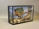 Decorative glass case from the 1930s with a pair of taxidermy 
pheasants. 
5000m2 showroom.
